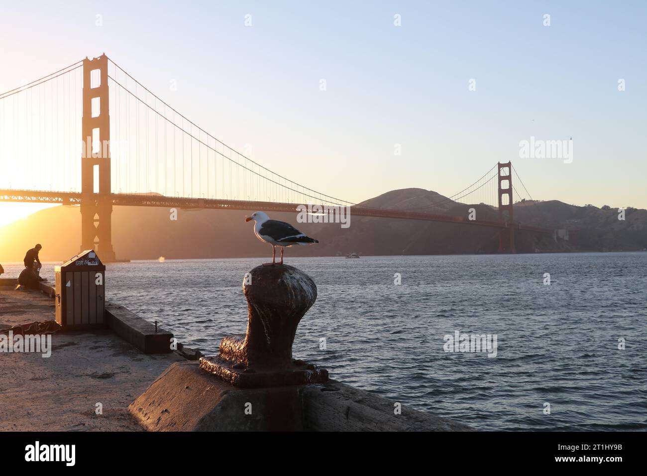 Gabbiano di fronte al Golden Gate Bridge a San Francisco, Stati Uniti. Foto Stock