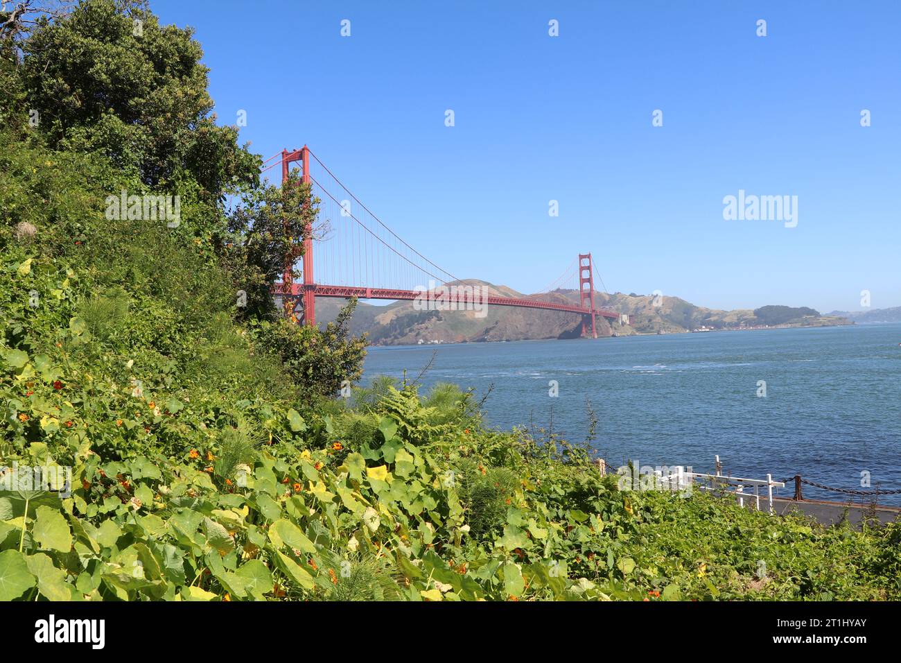 Famoso Golden Gate Bridge, San Francisco di notte, USA. Foto Stock