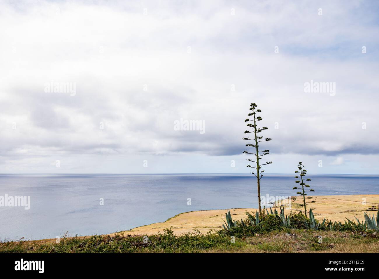 Incredibili paesaggi e natura alle Azzorre, visita il Portogallo. Foto Stock