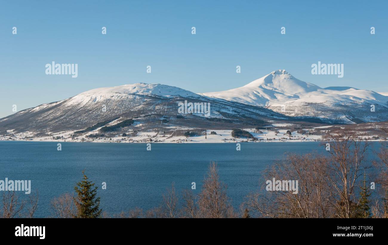 Montagne innevate dietro il mare nel nord della Norvegia in inverno con cime degli alberi in primo piano Foto Stock