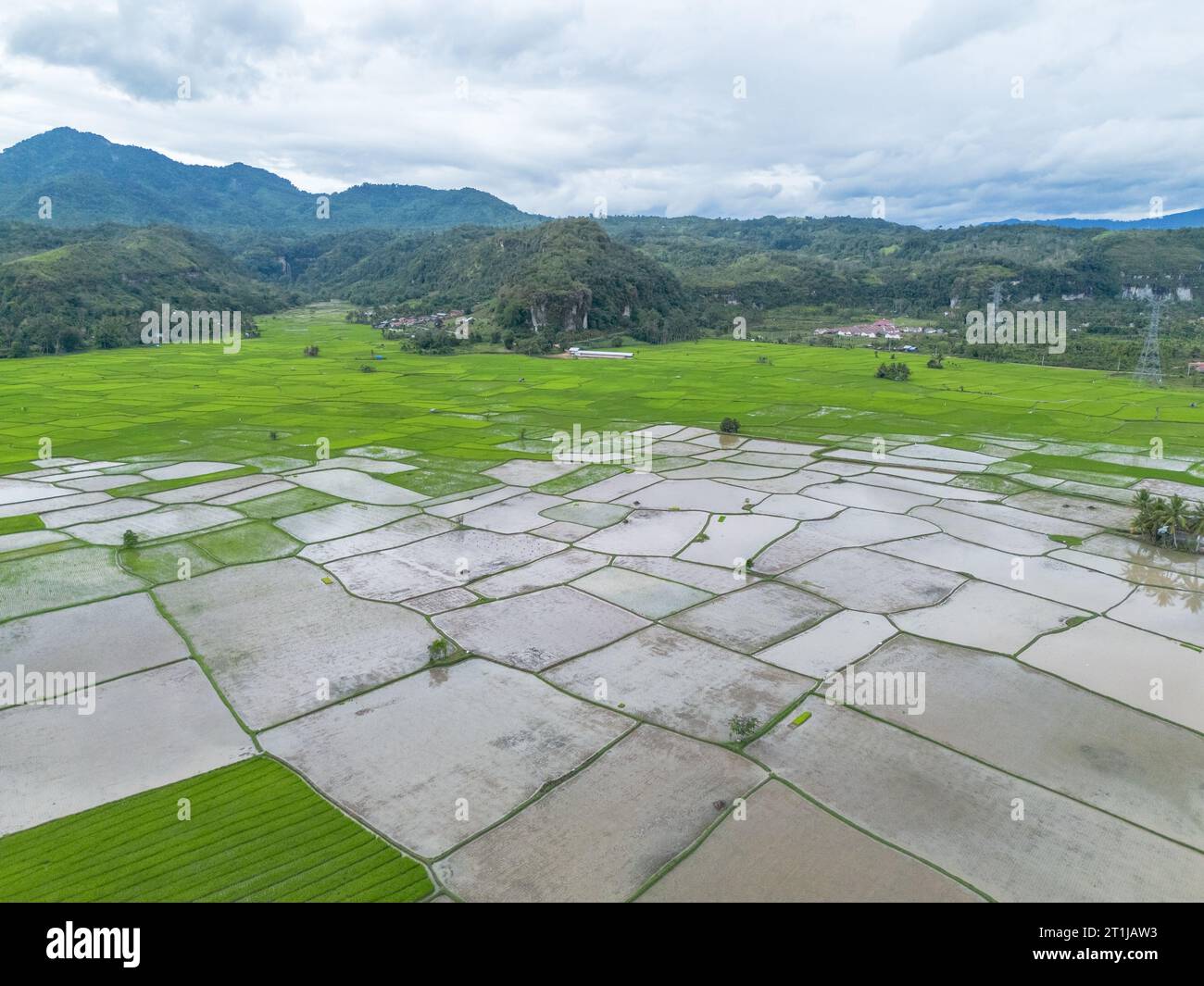 Vista aerea della risaia, Riau, Sumatra, Indonesia. Foto Stock