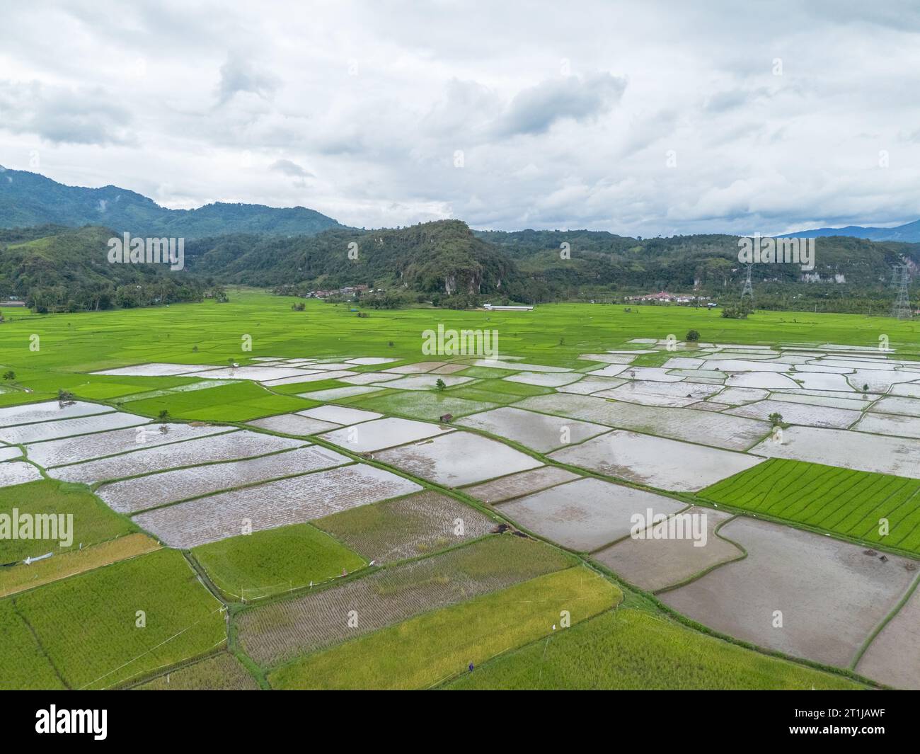 Vista aerea della risaia, Riau, Sumatra, Indonesia. Foto Stock