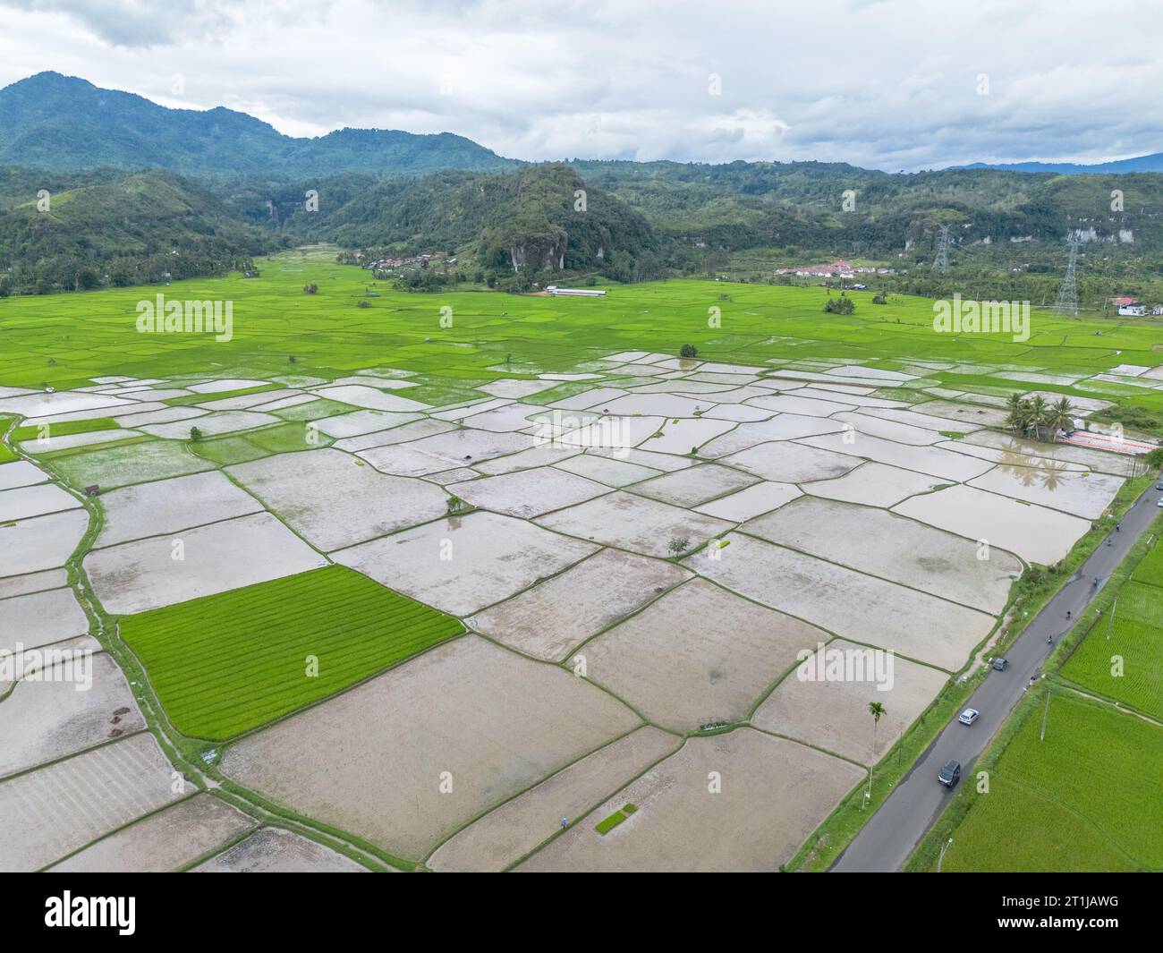 Vista aerea della risaia, Riau, Sumatra, Indonesia. Foto Stock