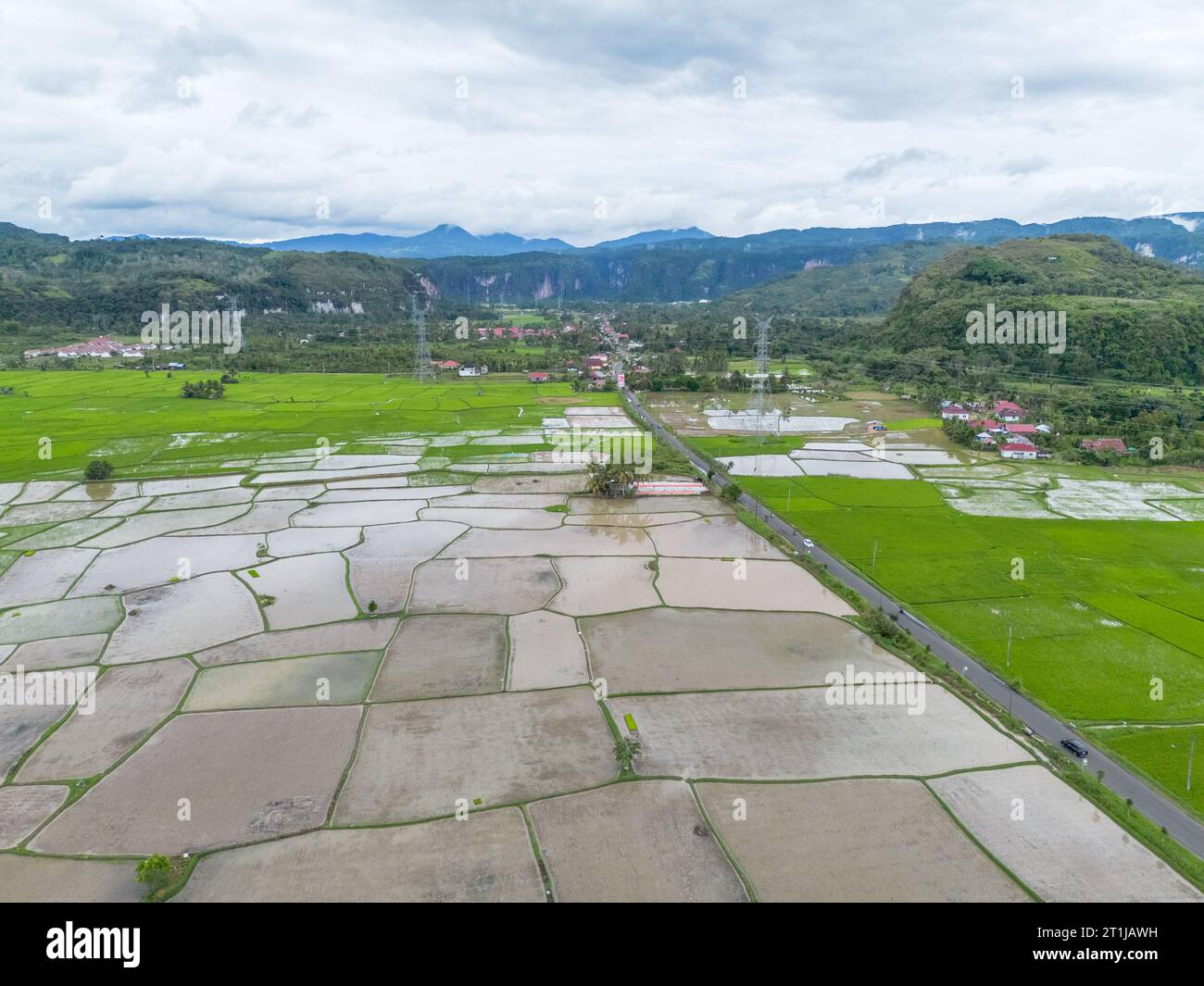 Vista aerea della risaia, Riau, Sumatra, Indonesia. Foto Stock