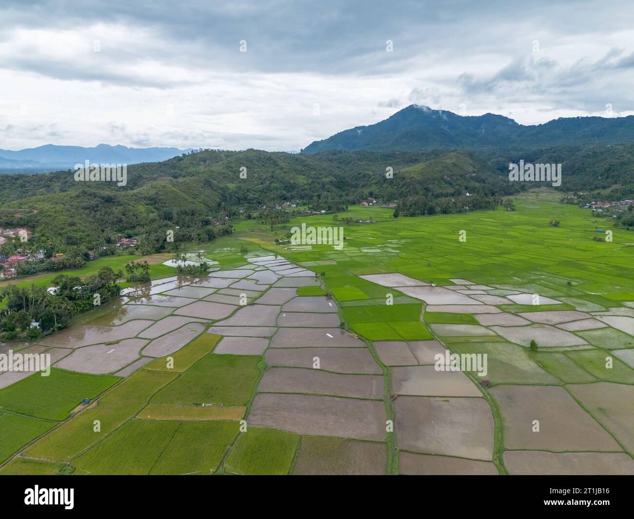 Vista aerea della risaia, Riau, Sumatra, Indonesia. Foto Stock