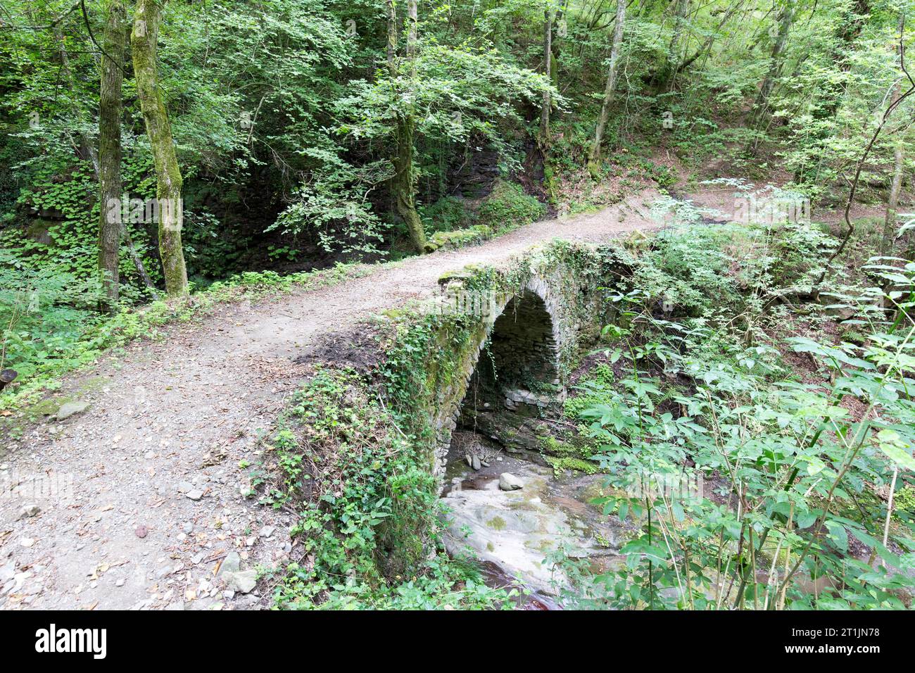 Vista del sentiero della via Francigena in Lunigiana, Italia Foto Stock