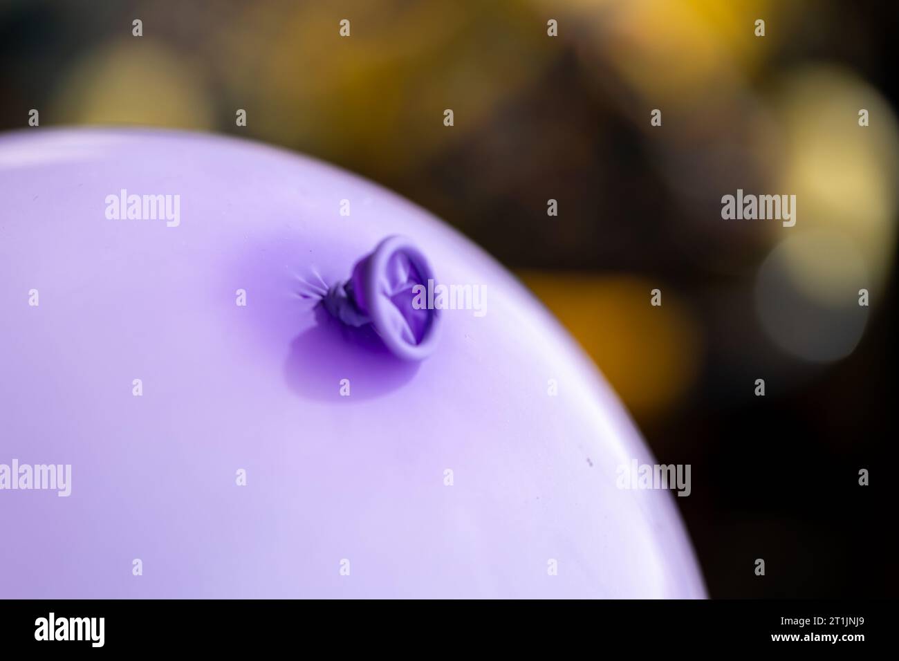 Un ritratto del nodo sopra il labbro e il collo di un palloncino viola. La decorazione festiva e' pronta per essere usata per giocare da bambini o adulti e h Foto Stock