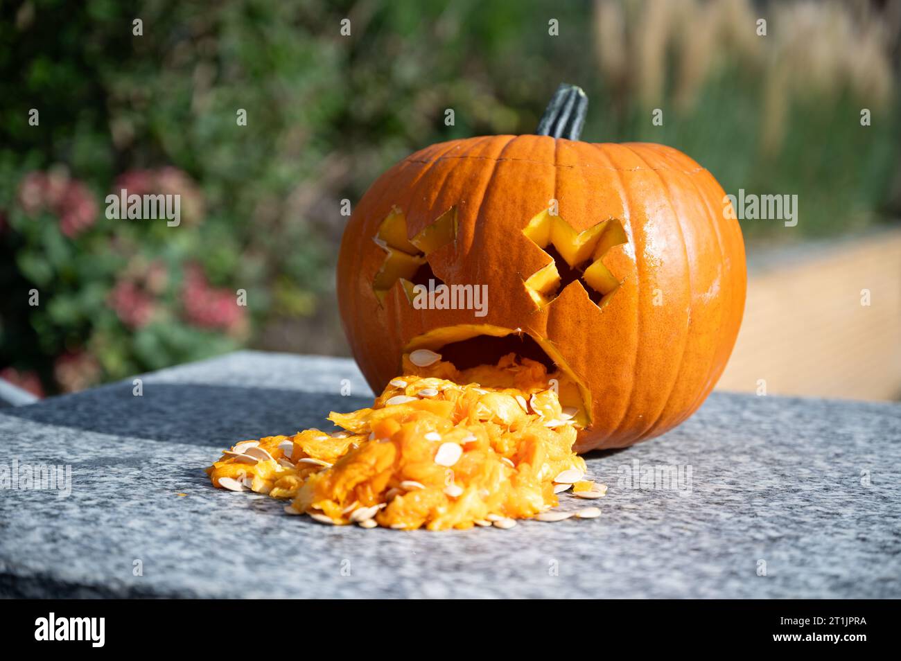 Divertente zucca intagliata come decorazione di Halloween Foto Stock