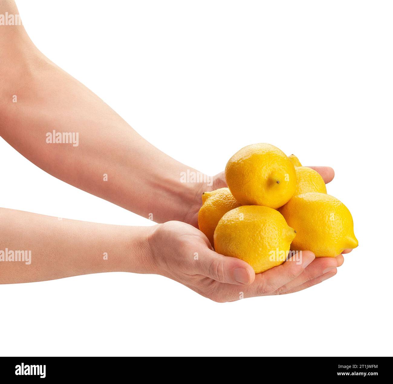 cime di limone nel percorso della mano isolato su bianco Foto Stock