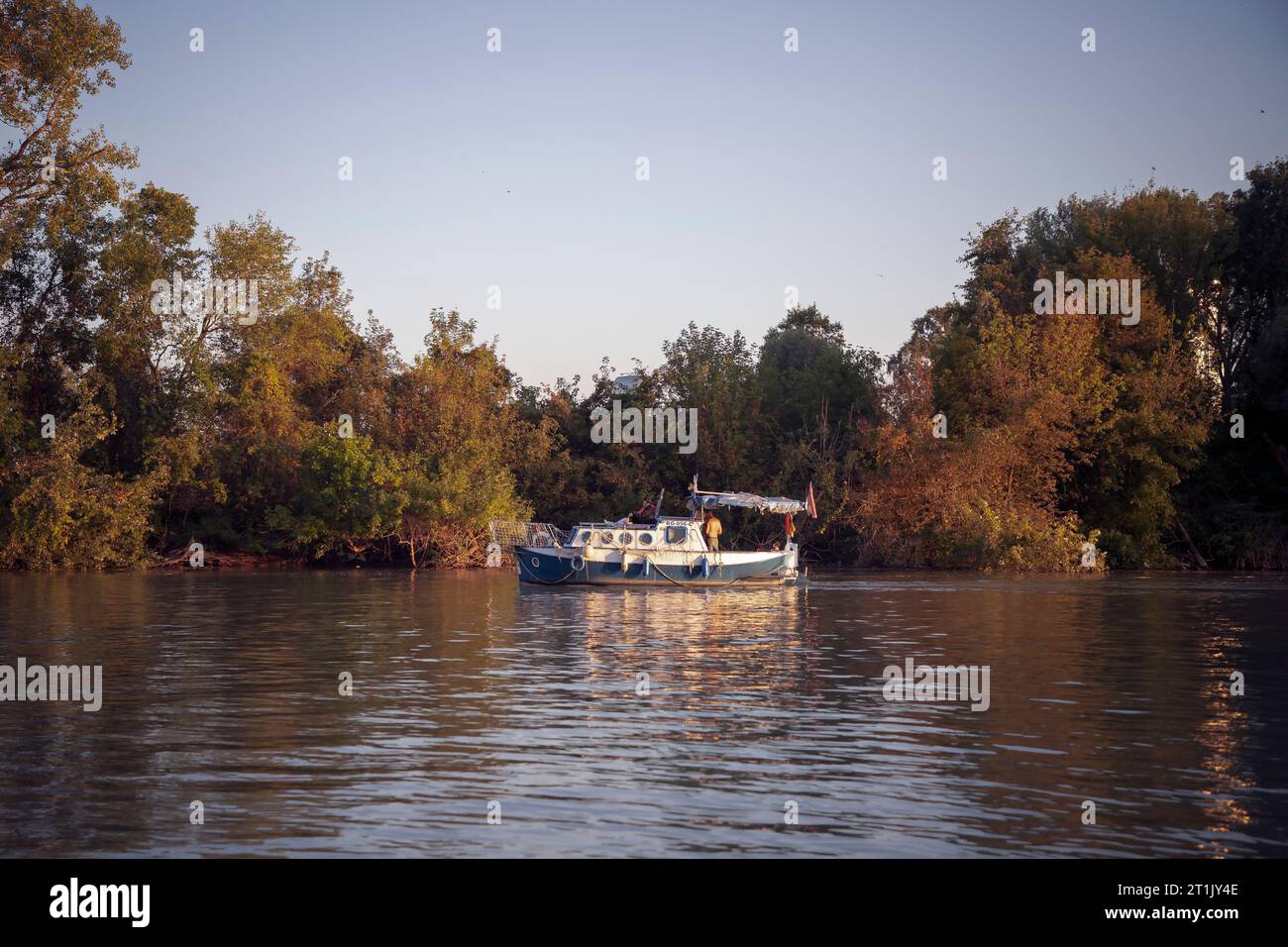 Una barca a motore che naviga lungo il Danubio Foto Stock