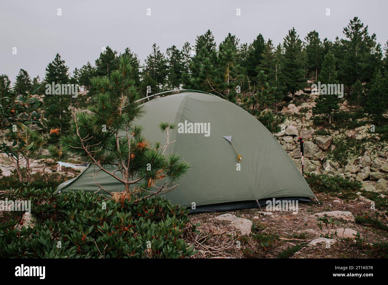 Una verde tenda turistica per tre persone allestita in una foresta circondata da conifere sempreverdi e rocce in una zona montuosa. Campeggiare nella foresta Foto Stock