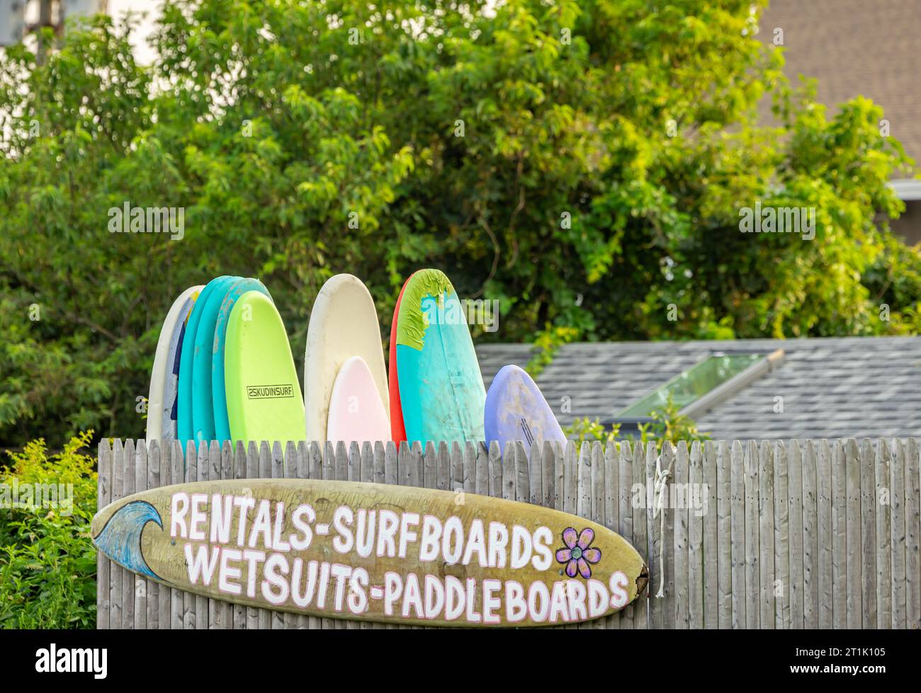 firma per noleggiare tavole da surf, tute da mare e paddleboard Foto Stock