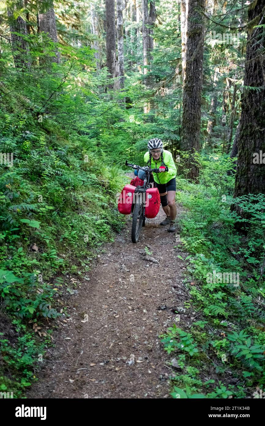 WA24545-00....WASHINGTON - Vicky Spring spinge la sua bicicletta su una collina sul Lower Quilcene Trail nella Olympic National Forest. MR# S1 Foto Stock