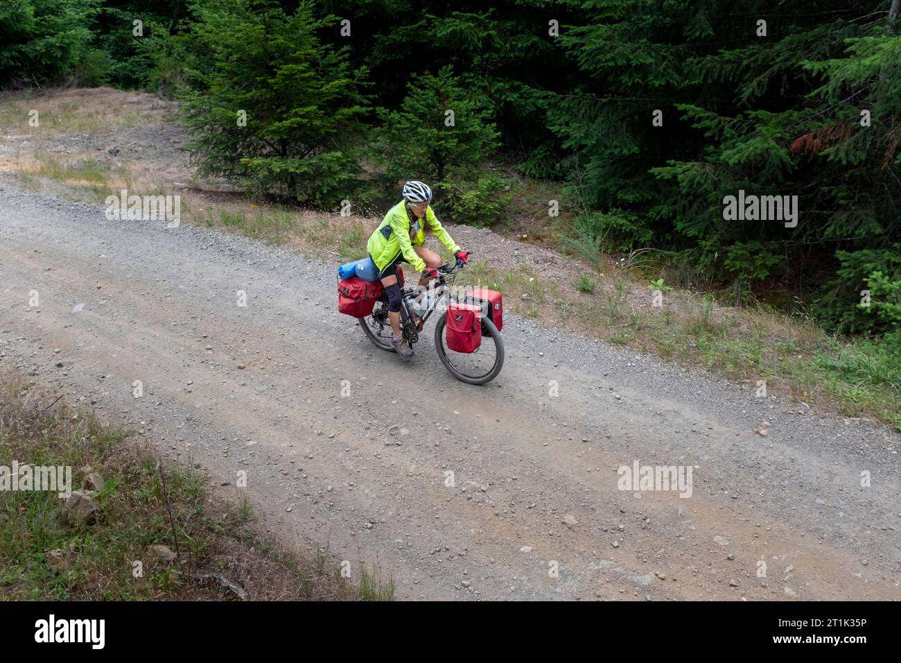WA24551-00..... WASHINGTON - Vicky Springgravel bike Touring sulla Forest Service Road 2510 nella Duckabuish River Valley, Olympis National Forest, Hood Foto Stock