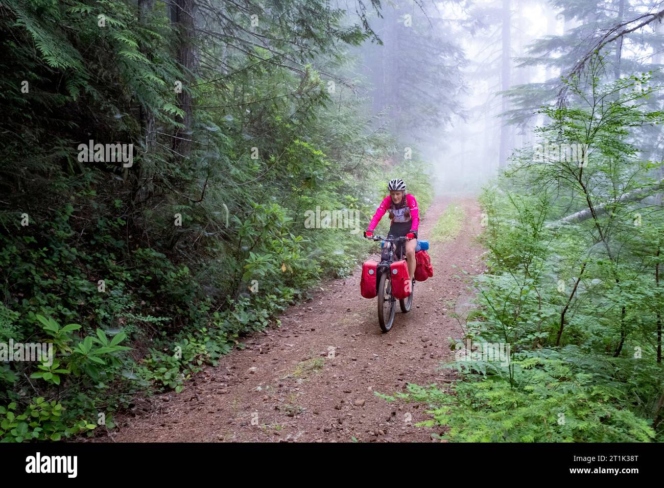 WA24555-00..... WASHINGTON - Vicky Spring Gravel bike Touring on Forest Service Road , Olympic National Forest, Hood River Dristric. Olympic Bikepacki Foto Stock