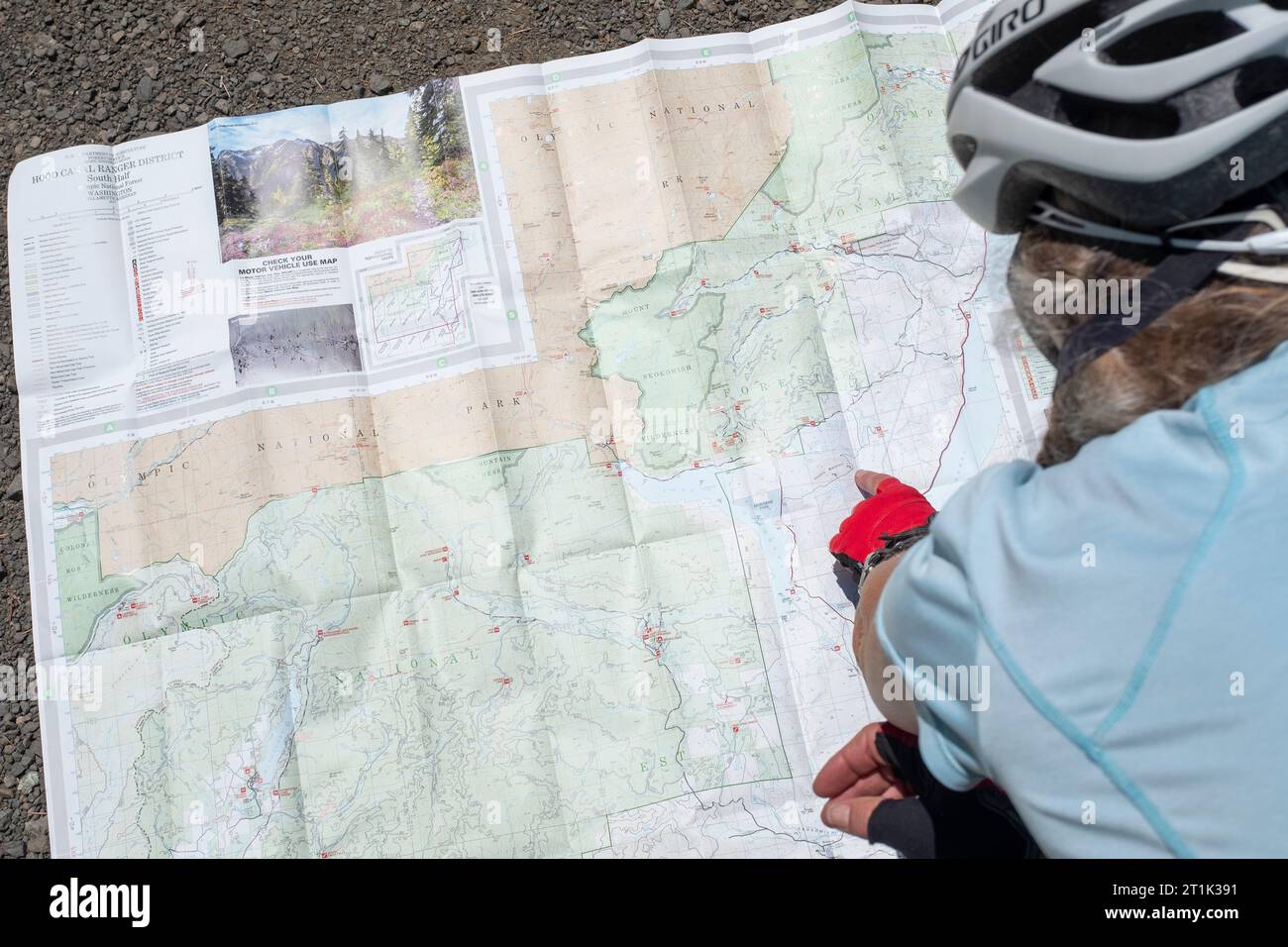 WA24558-00..... WASHINGTON - Vicky Spring controlla la mappa mentre fai un giro in bici nella Olympic National Forest, Hood River Dristric. Olympic Bikepack Foto Stock