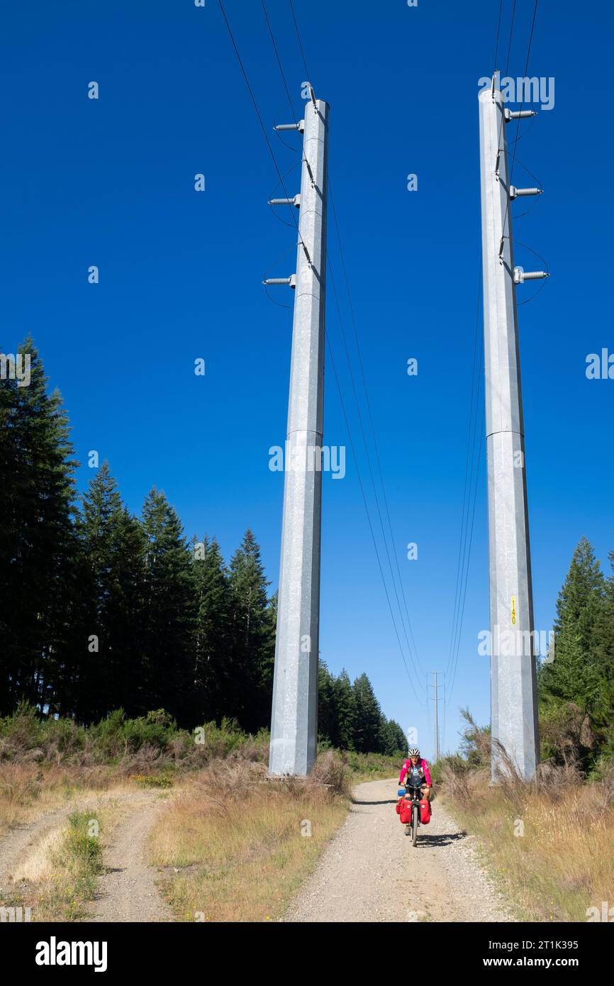 WA24559-00..... WASHINGTON - Vicky Spring in bicicletta in ghiaia, in un percorso lungo una strada a motore vicino a Union. Olympic Bikepacking dalla Top Route. Foto Stock