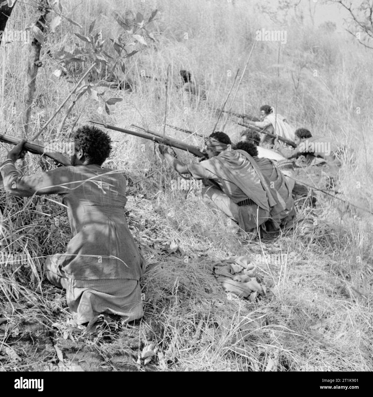 Patrioti abissini attaccando il fort di Derba Marcos parte di una sequenza di immagini che mostrano le truppe Patriot attaccando il forte prima di catturare. Essi prendono ogni vantaggio della copertura naturale, anche in alberi. Foto Stock