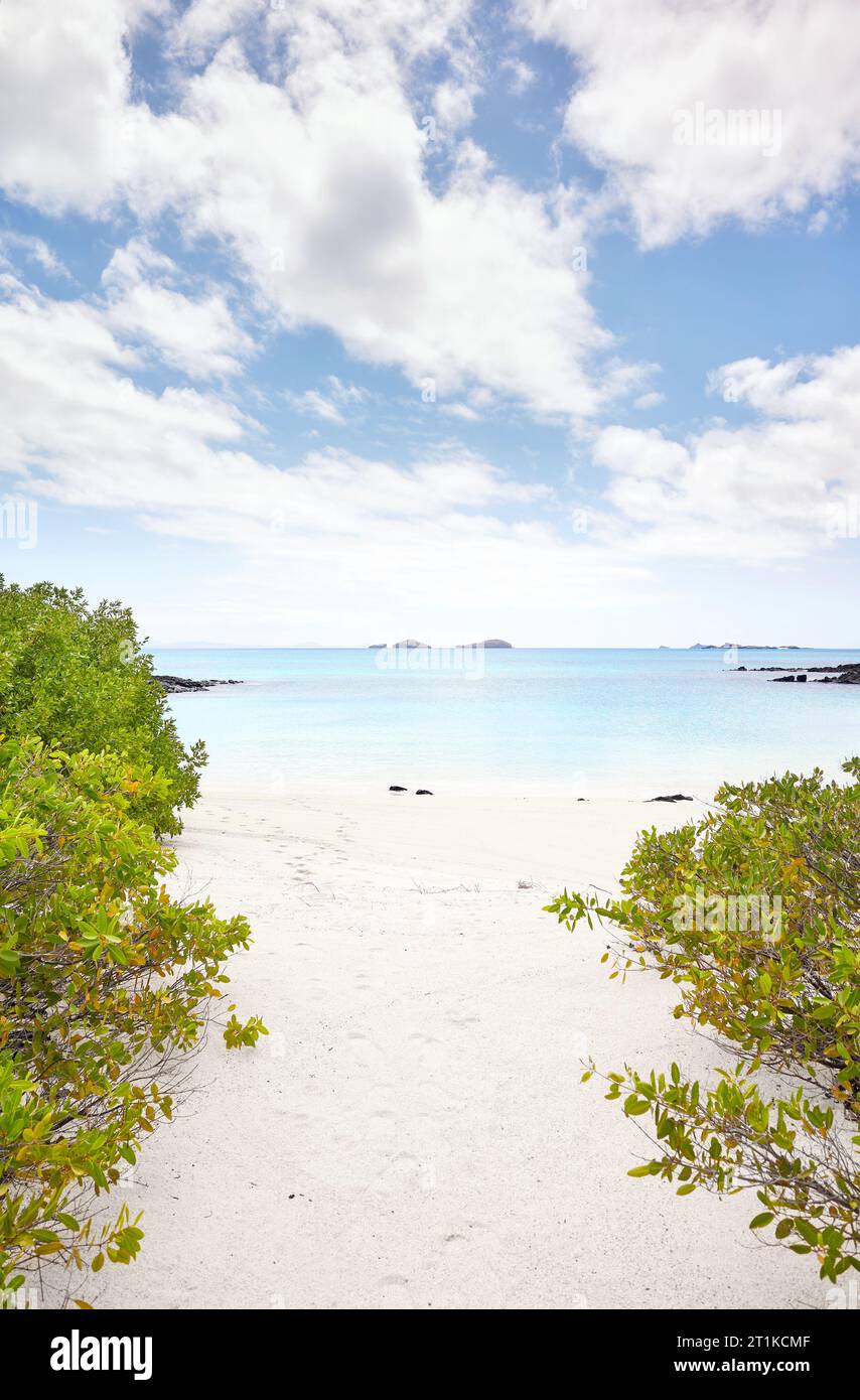 Spiaggia incontaminata su un'isola disabitata, le Isole Galapagos, Ecuador. Foto Stock
