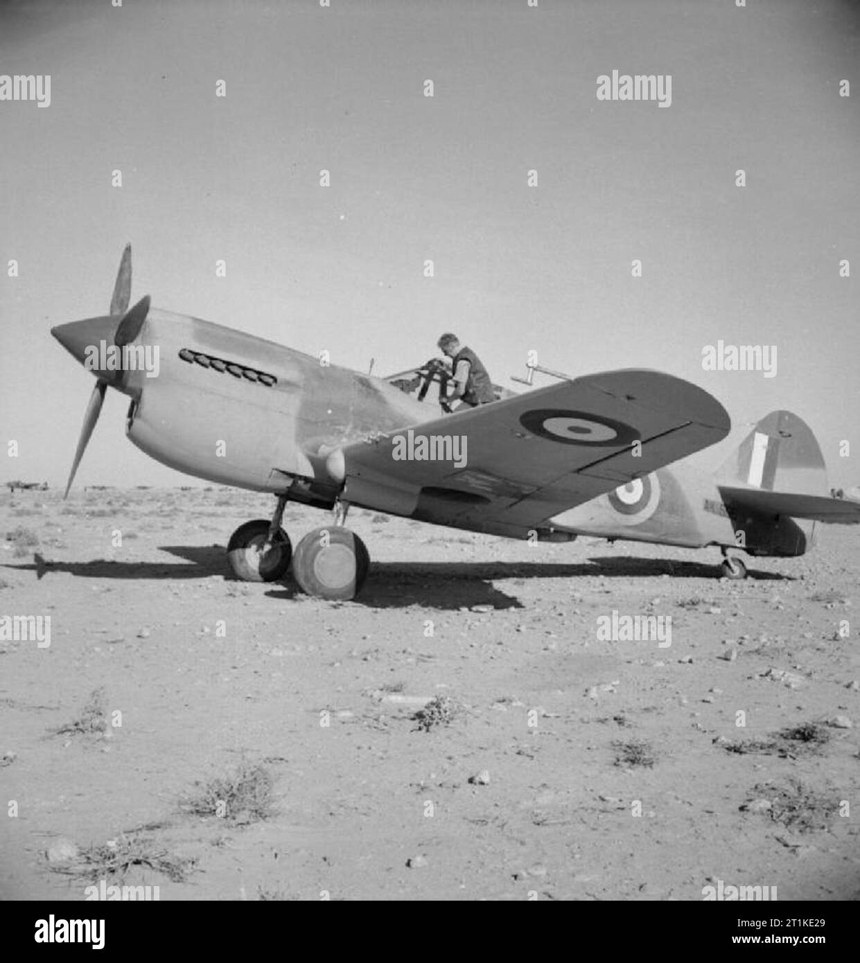 Aerei americani in servizio RAF 1939-1945- Curtis Hawk 87a Kittyhawk. Kittyhawk contrassegnare I, AK596, su un terreno di atterraggio pur essendo aria-testato nel deserto occidentale. AK596 è stato uno dei nove Kittyhawks con cui n. 94 Squadron RAF re-dotato il 1 febbraio 1942. Esso poi servito con n. 250 e 260 Squadrons RAF, anche nel teatro Africano. Foto Stock