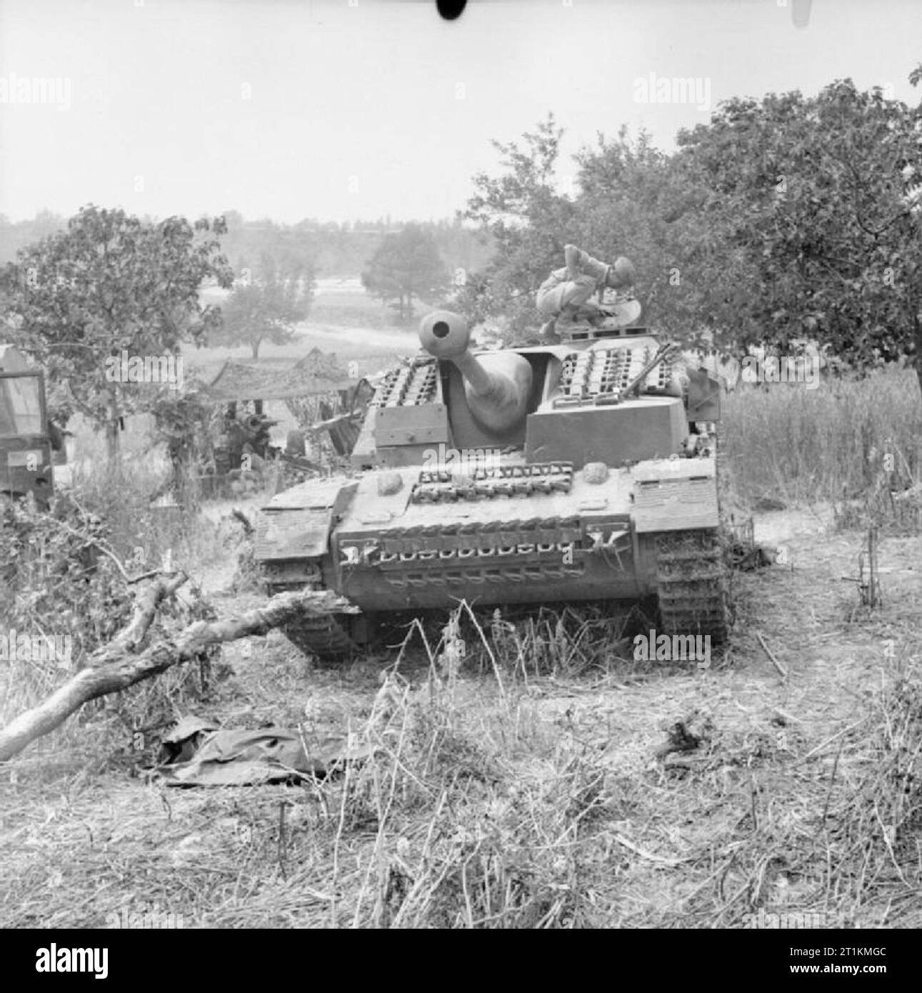 L'esercito britannico in Italia 1944 un knock-out tedesco StuG IV assault gun, 29 maggio 1944 Foto Stock