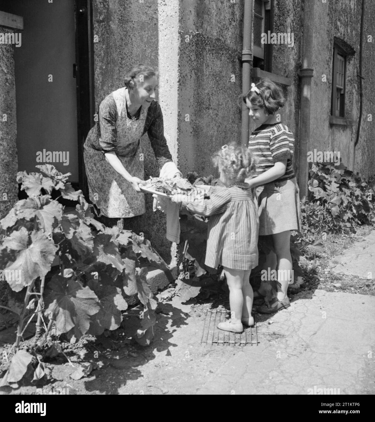 Due ragazze preparare per portare gli scarti di cibo per il maiale bin all'angolo di la loro strada in East Barnet, 1943. Due ragazze preparatevi a trasportare i residui di alimenti sono la raccolta di dati da loro madre verso il basso per il maiale bin all'angolo di la loro strada. Grande cura è stata adottata per escludere le foglie di tè, gusci d'uovo ed ossa come questi non sono adatti per i suini il cibo. Foto Stock