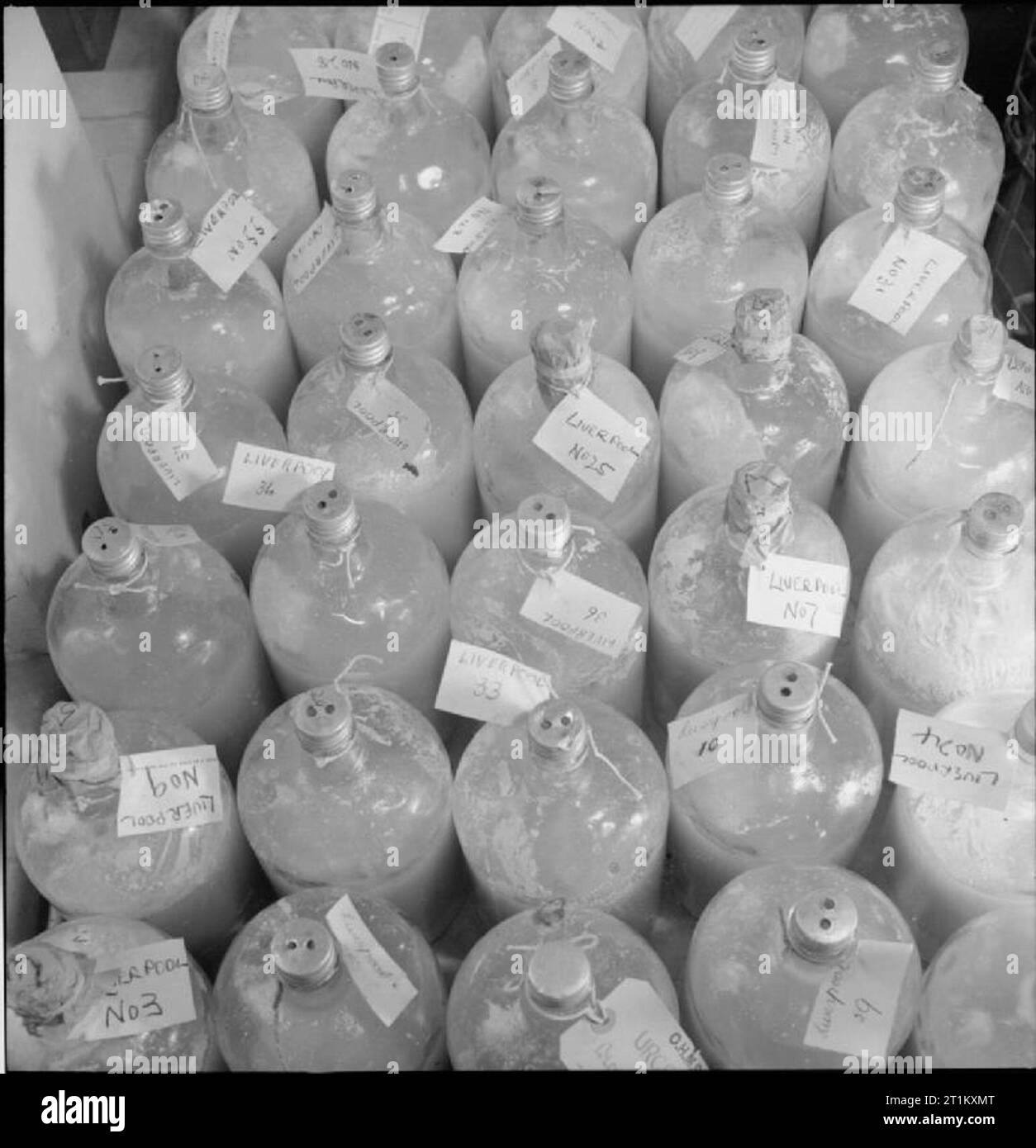 Sangue unità di essiccazione- Il trattamento di sangue in laboratorio, Cambridge, Inghilterra, Regno Unito, 1943 righe di bottiglie grandi di greggio, plasma non filtrata attendono il trasporto. Il plasma viene raggruppato in bottiglie grandi di neutralizzare i gruppi sanguigni e viene agitato con caolino per evitare la coagulazione. La didascalia originale afferma che "le bottiglie sono etichettate con il nome di depositi regionali da cui provengono e numerate in modo tale che qualunque guasto può essere fatta risalire alla fonte". Le etichette su queste bottiglie si riferiscono a Liverpool. Foto Stock