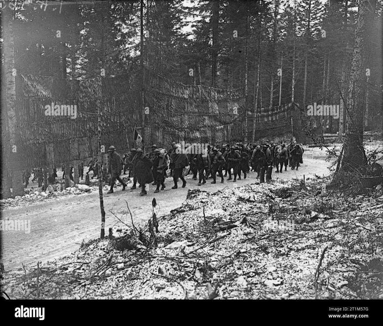 Ministero delle informazioni Prima Guerra Mondiale Raccolta ufficiale delle truppe italiane con bandiera marciare lungo una strada schermato attraverso le foreste di pino uncinato. Foto Stock