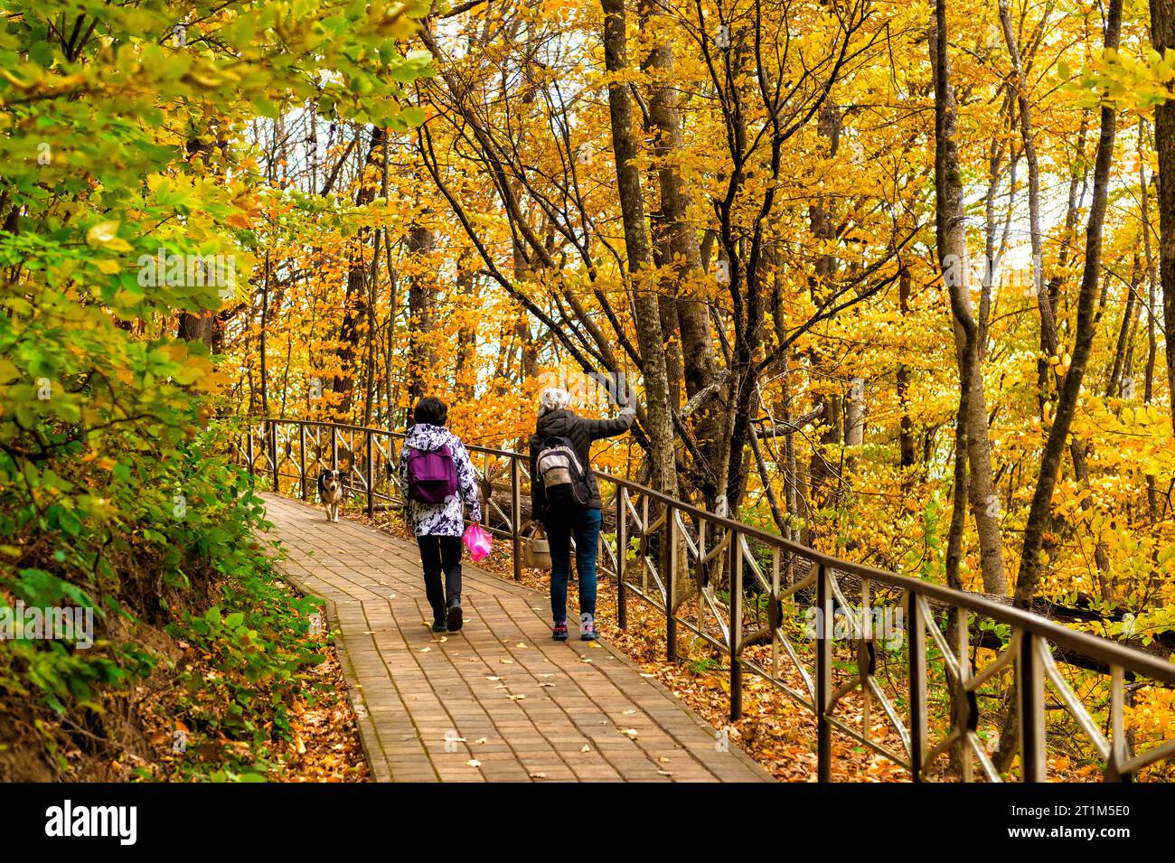 una ragazza e una donna camminano lungo un sentiero in un parco tra gli alberi in autunno Foto Stock una ragazza e una donna camminano lungo un sentiero in un parco tra gli alberi in autunno Foto Stock