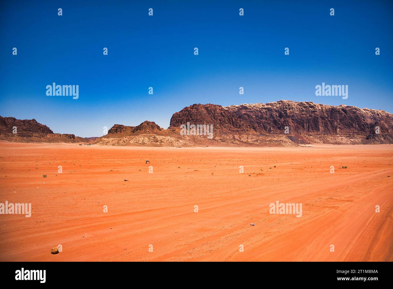 Sands and Stars: Wadi Rum Chronicles Foto Stock