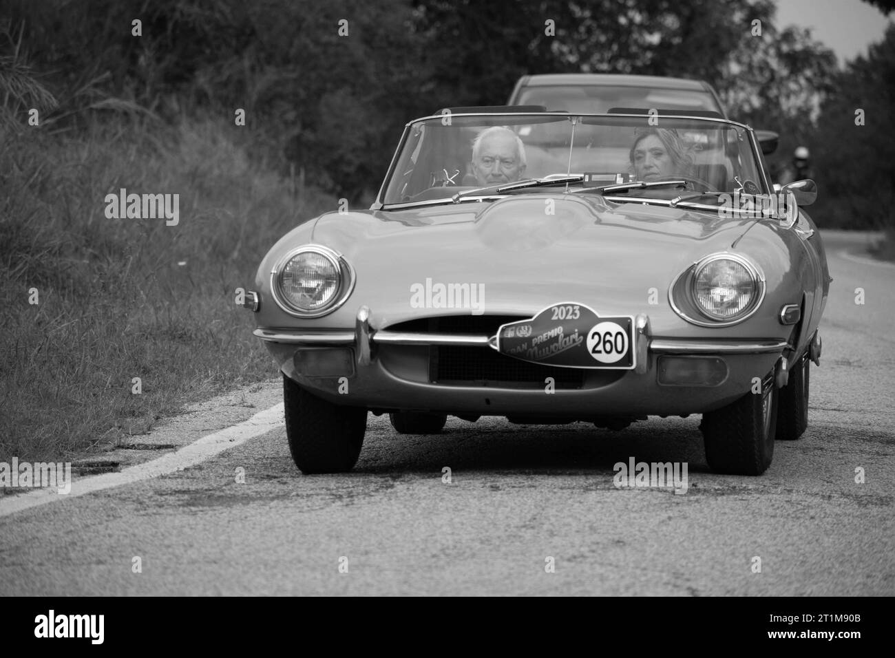 Tavoleto , Italia - settembre 16 - 2023 : Jaguar e TIPO 1963 in coppa nuvolari vecchia corsa Foto Stock