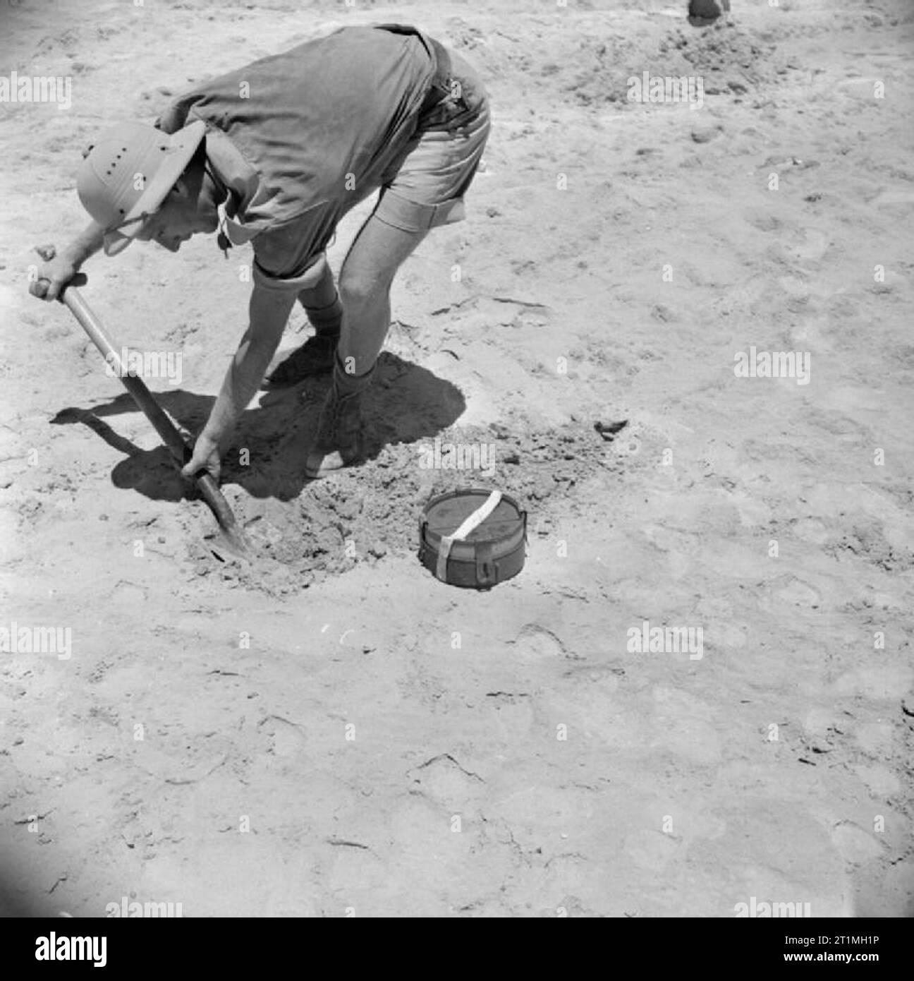 Le forze del Commonwealth in Nord Africa 1940-43 un sudafricano sapper recante una miniera, Egitto, 2 luglio 1942. Foto Stock