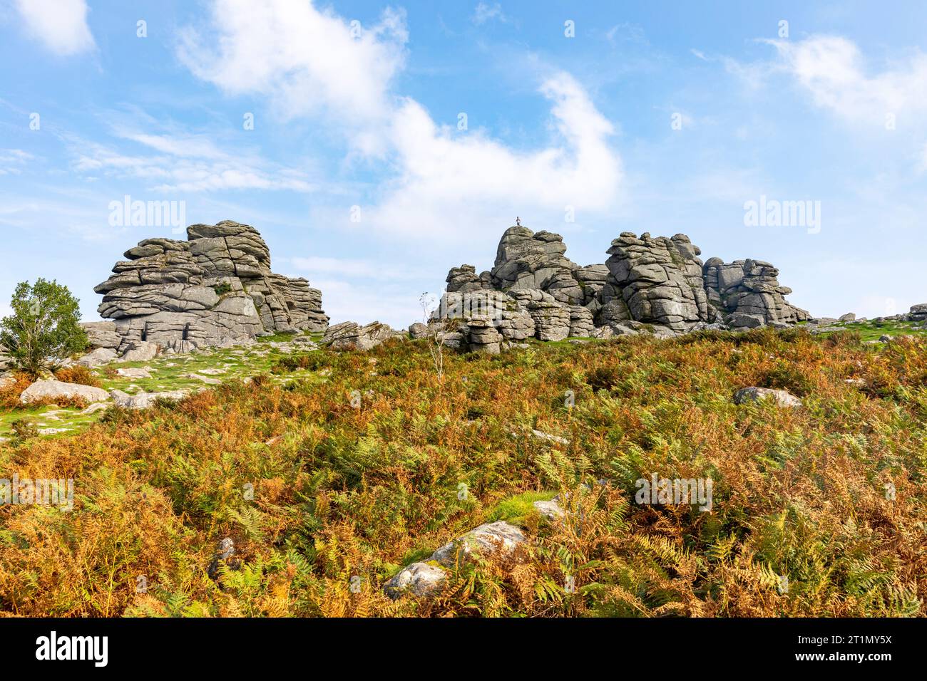 Hound Tor Dartmoor National Park nel Devon, formazione di granito roccioso che si pensa ispiri al libro Hound of the Baskervilles, Inghilterra, Regno Unito, settembre 2023 Foto Stock