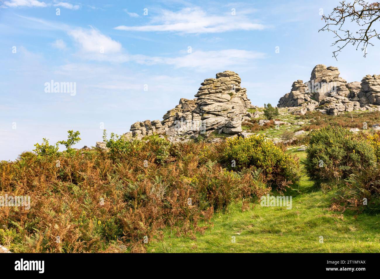 Hound Tor Dartmoor National Park nel Devon, formazione di granito roccioso che si pensa ispiri al libro Hound of the Baskervilles, Inghilterra, Regno Unito, settembre 2023 Foto Stock