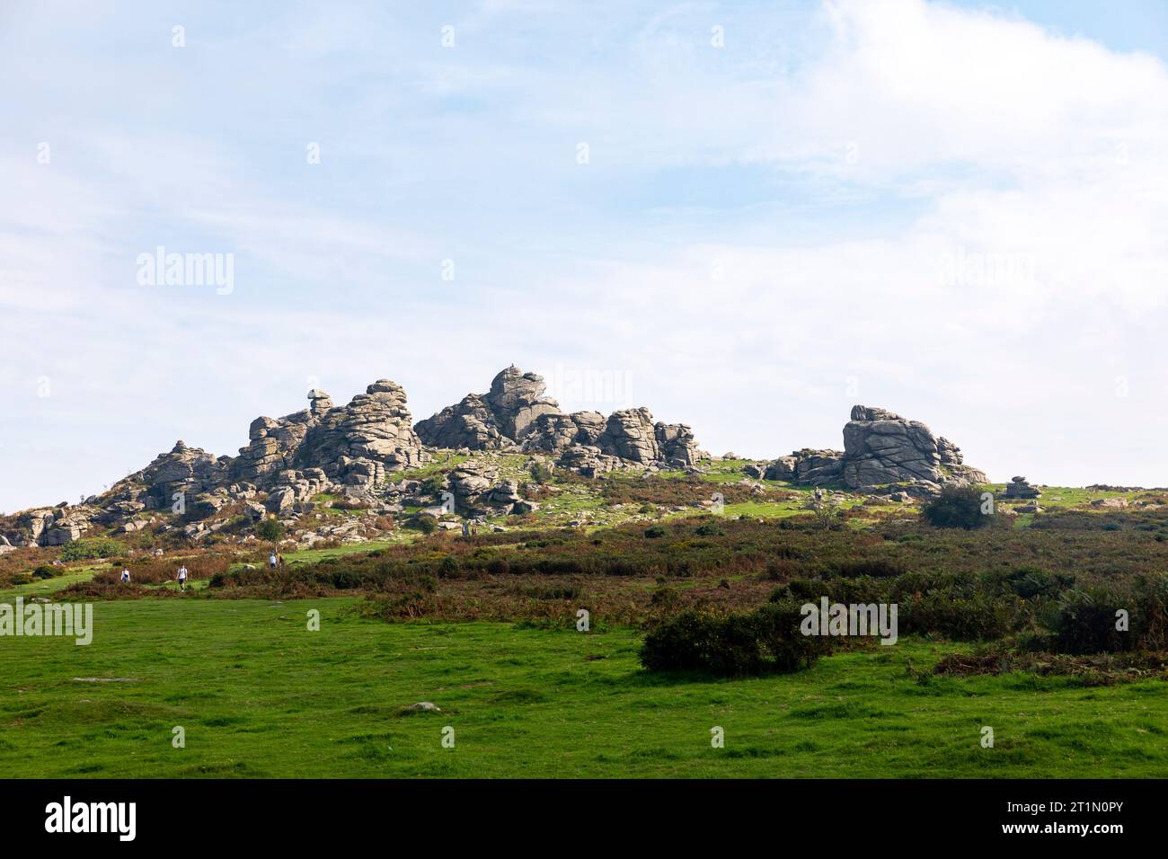 Hound Tor Dartmoor National Park nel Devon, formazione di granito roccioso che si pensa ispiri al libro Hound of the Baskervilles, Inghilterra, Regno Unito, settembre 2023 Foto Stock