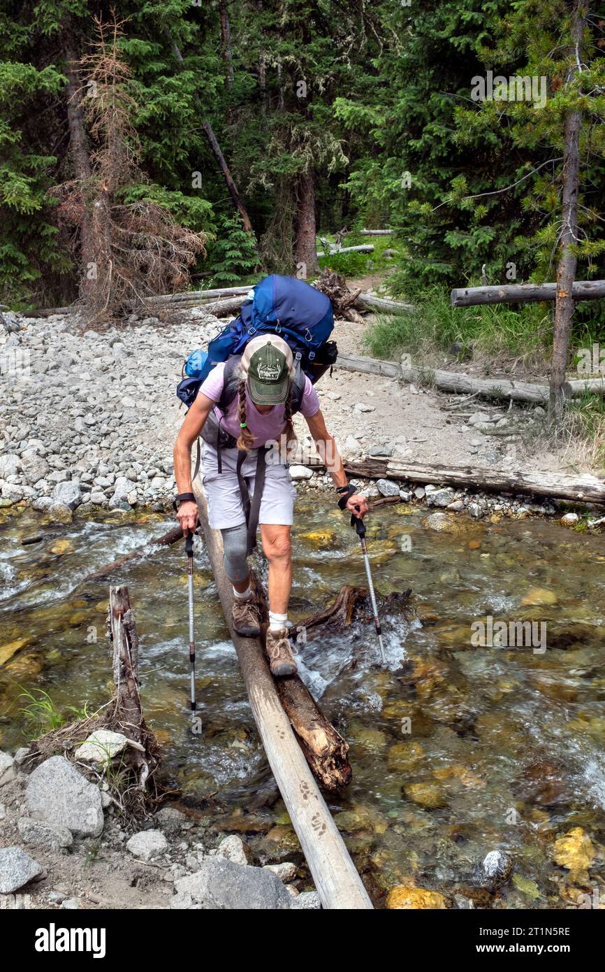 WY05461-00-BW....WYOMING - donna anziana che cammina lungo l'Hihgline/Continental divide Trail vicino al lago Green River nella Bridger Wilderness, Bridger National Foto Stock