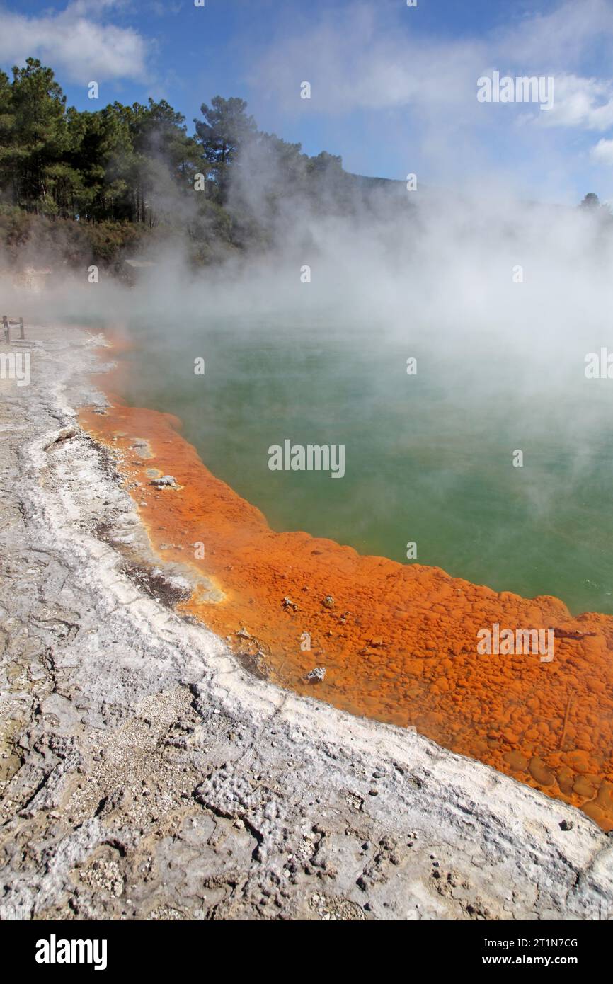 Piscina con champagne - Wai-o-Tapu Thermal Wonderland, nuova Zelanda. Questa splendida piscina termale è un'attrazione popolare, l'accumulo di minerali arancioni sul po Foto Stock