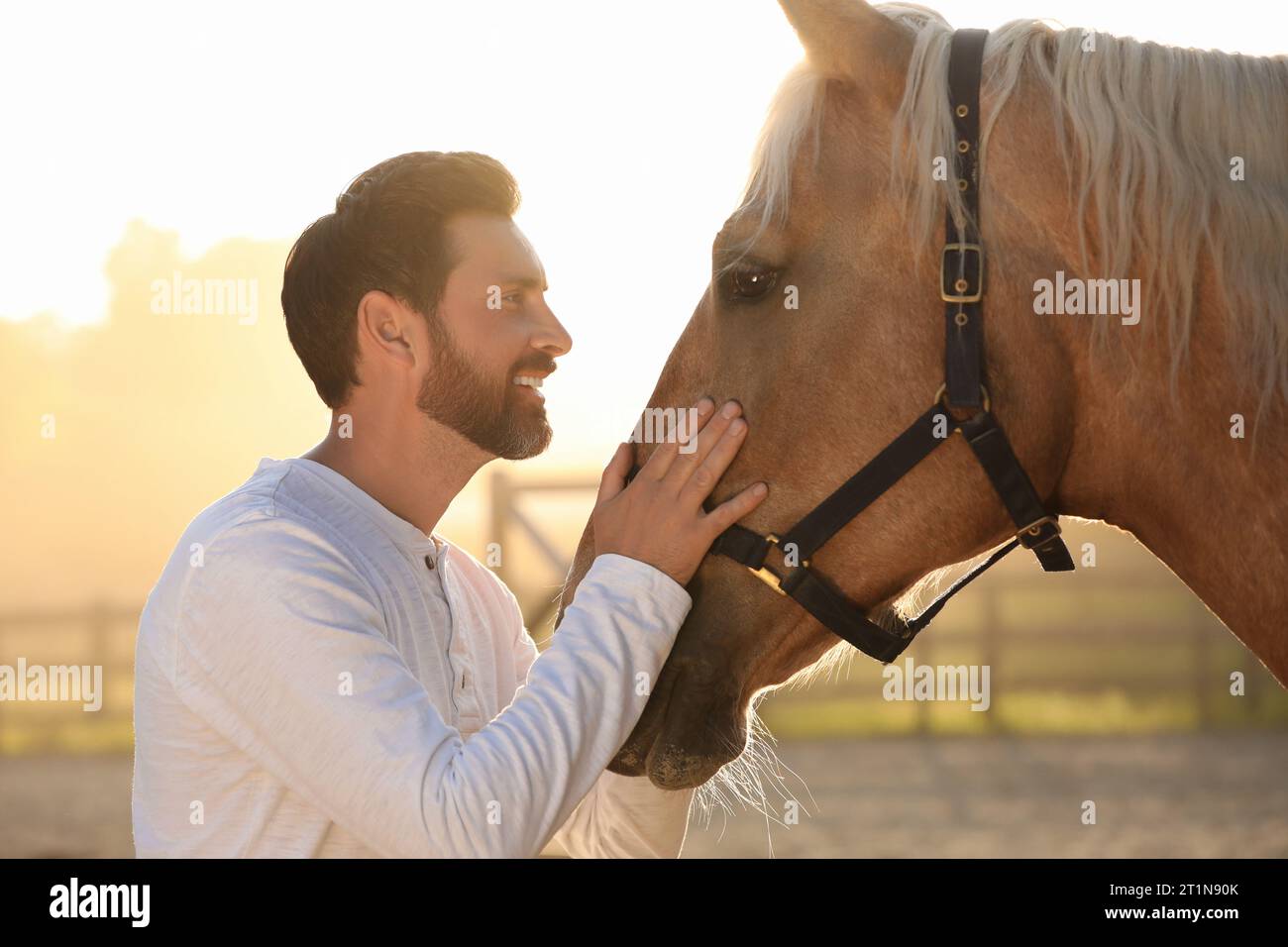 Bell'uomo con adorabile cavallo all'aperto nelle giornate di sole. Adorabile animale domestico addomesticato Foto Stock