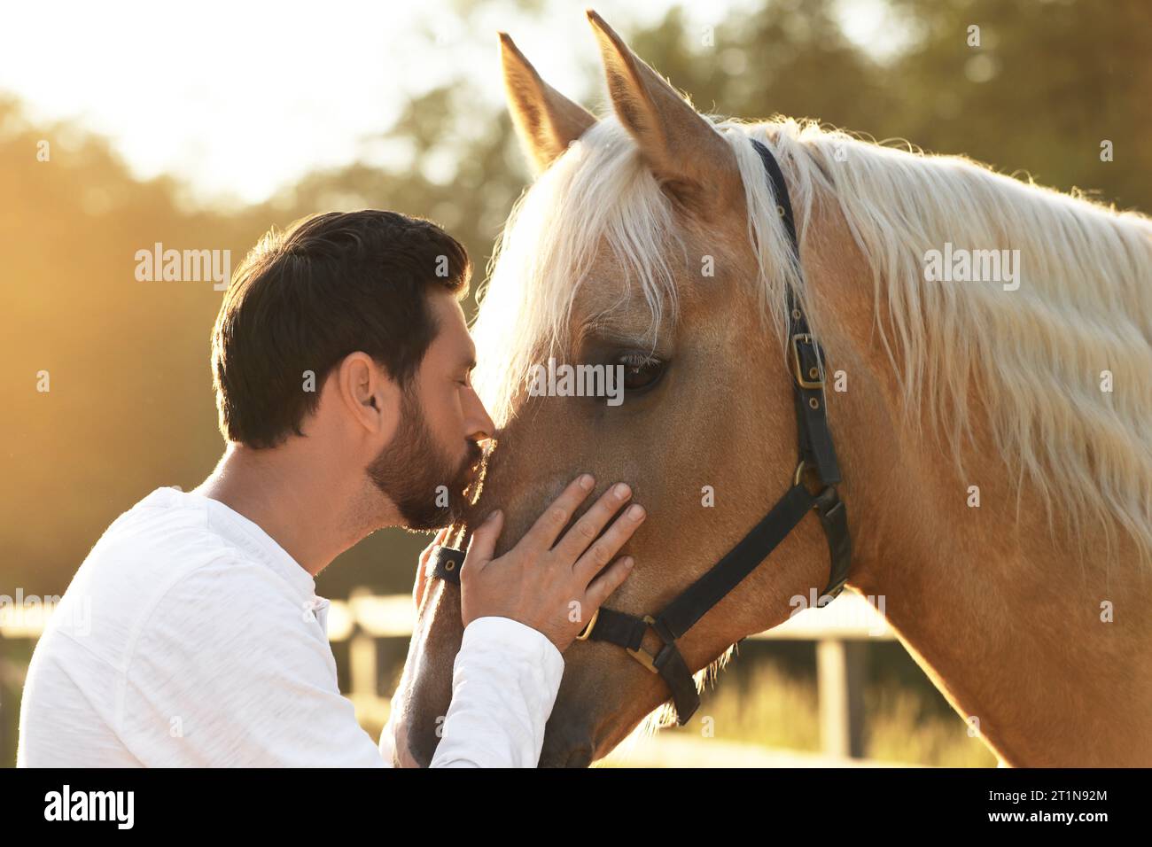 Bell'uomo con adorabile cavallo all'aperto nelle giornate di sole. Adorabile animale domestico addomesticato Foto Stock