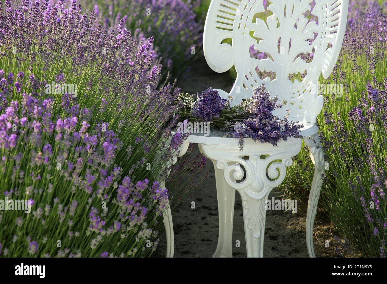 Fiori di lavanda artificiale 12 fasci all'aperto Fiori falsi