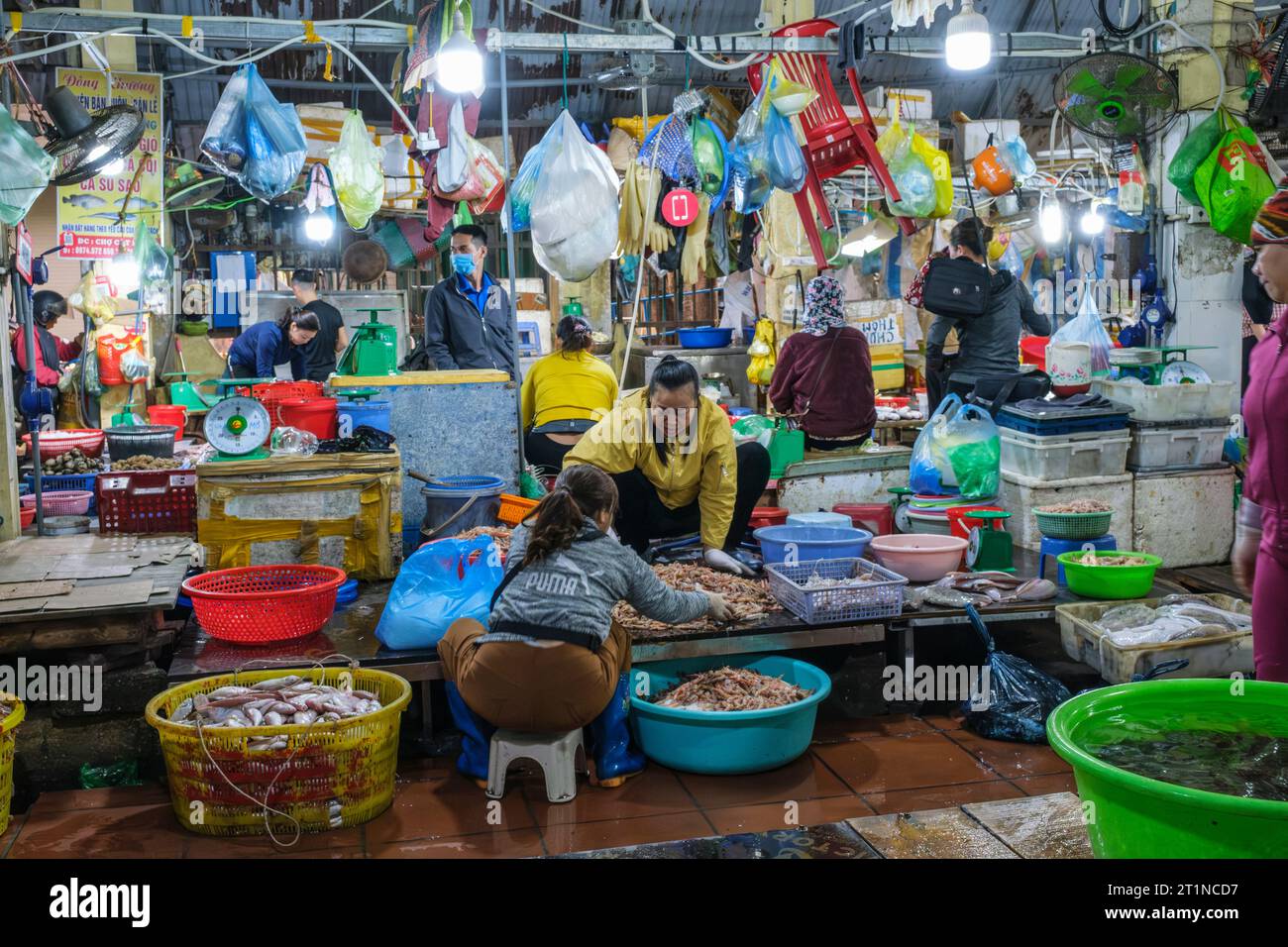 Cat Ba, Vietnam. Scena al mattino presto nella sezione del mercato di pesce. Foto Stock