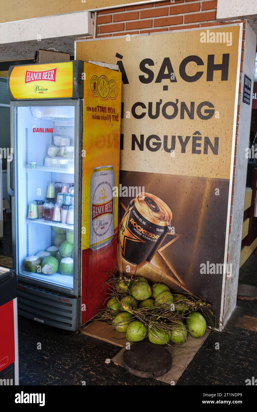 Noci di cocco in vendita presso il Roadside Rest Stop tra Hanoi e Lao Cai, Vietnam. Foto Stock