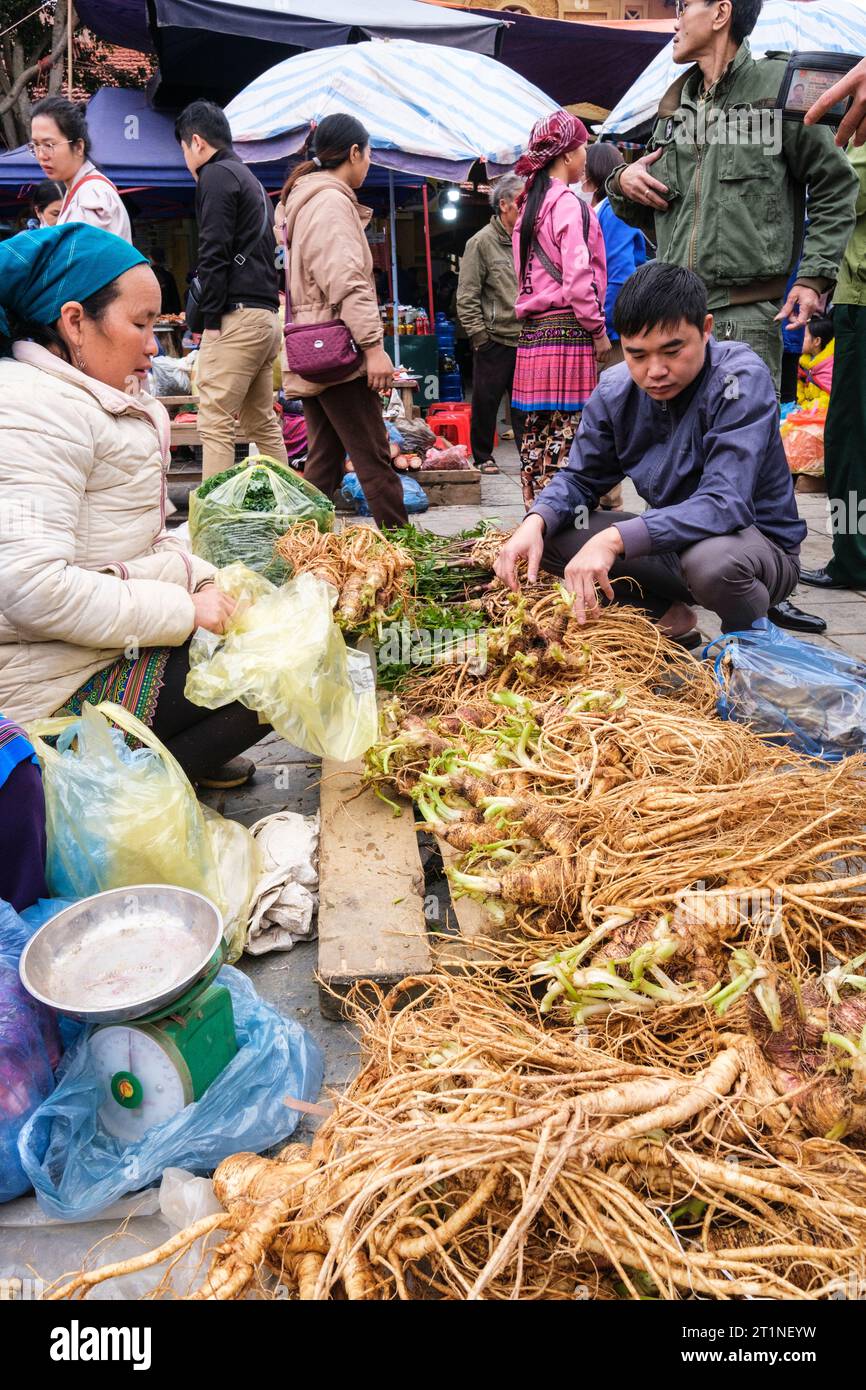Mercato domenicale di BAC ha. Donna che vende Ginseng vietnamita. Vietnam. Provincia di Lao Cai. Foto Stock