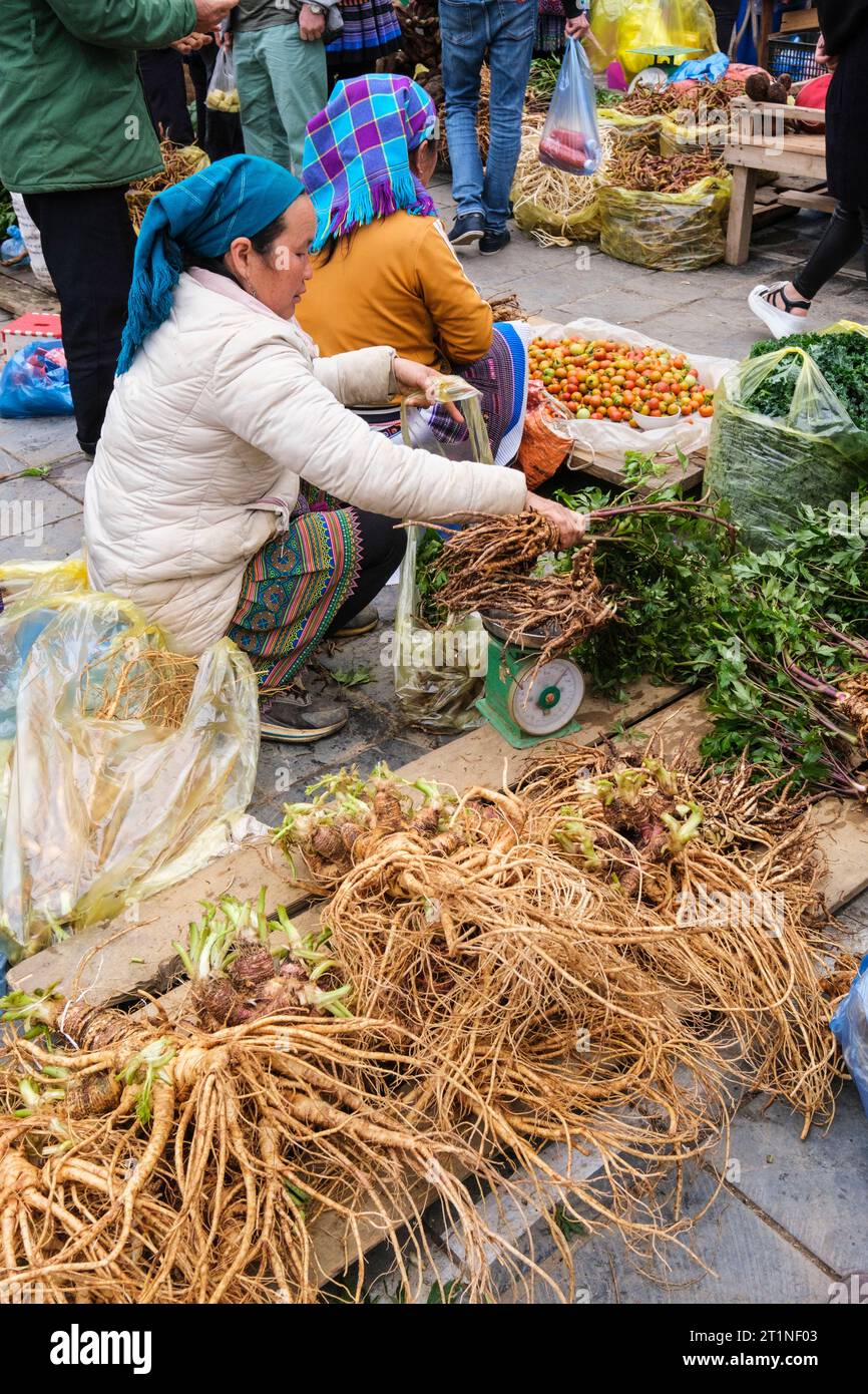 Mercato domenicale di BAC ha. Donna che vende Ginseng vietnamita. Vietnam. Provincia di Lao Cai. Foto Stock