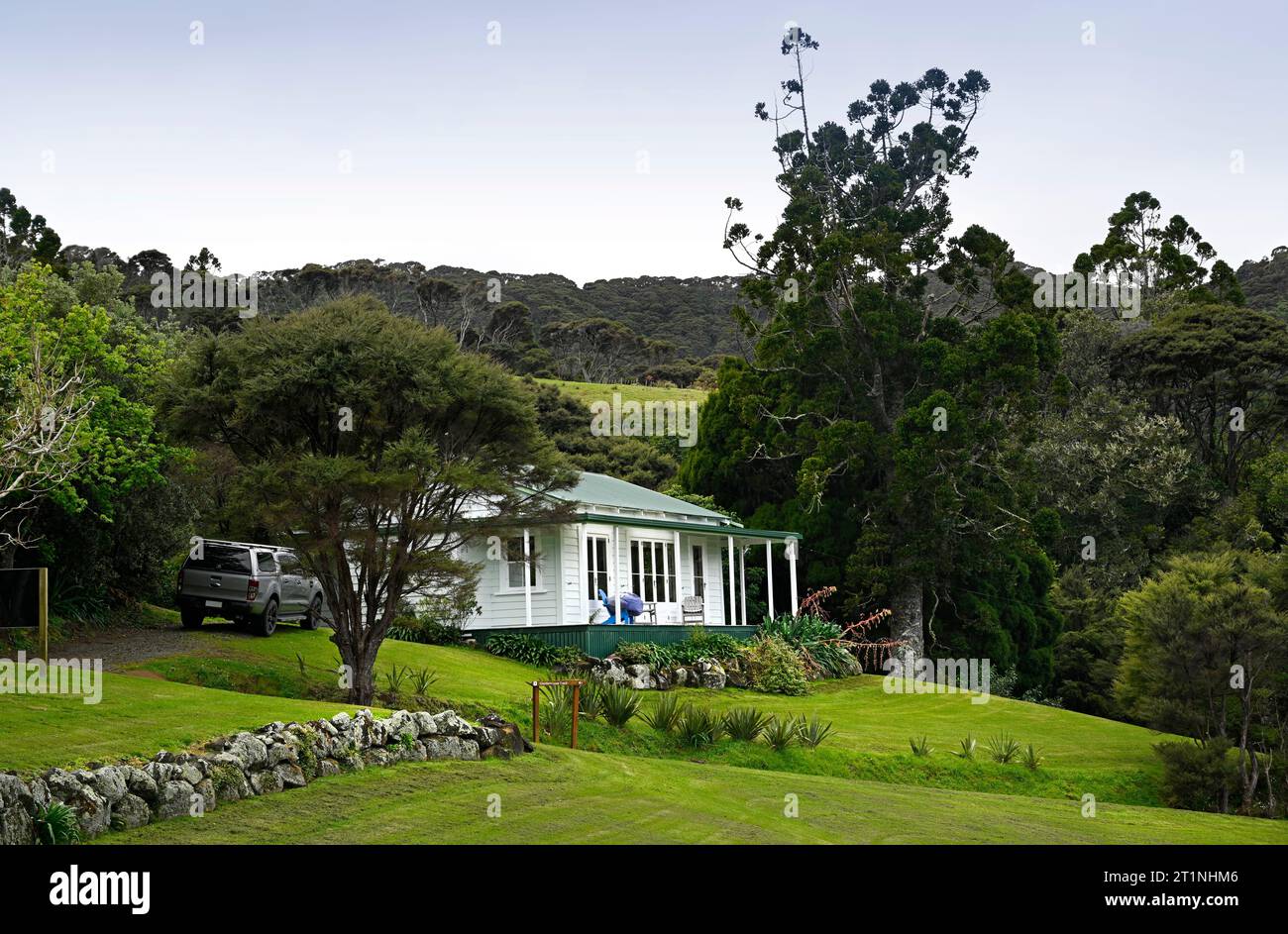 Tradizionale Casa Bianca in legno e antico albero di Kauri a Glenfern, grande Barriera Island, nuova Zelanda Foto Stock