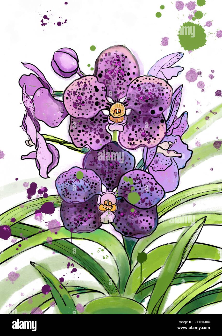 Fiori di orchidea viola con illustrazione delle foglie acquerello disegnato a mano isolato su sfondo bianco Foto Stock