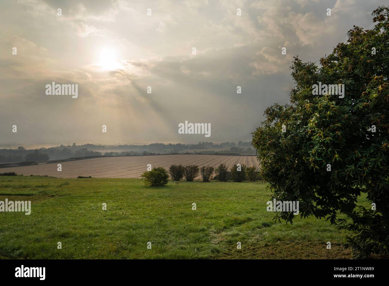 vista panoramica della campagna con luce mattutina in autunno Foto Stock