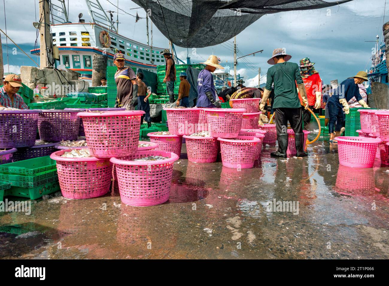 Villaggio di pescatori di Samaesan, Thailandia, 1 settembre 2023: I lavoratori scaricano i pesci da un peschereccio nelle vicinanze in cesti e li impilano per i potenziali acquirenti Foto Stock