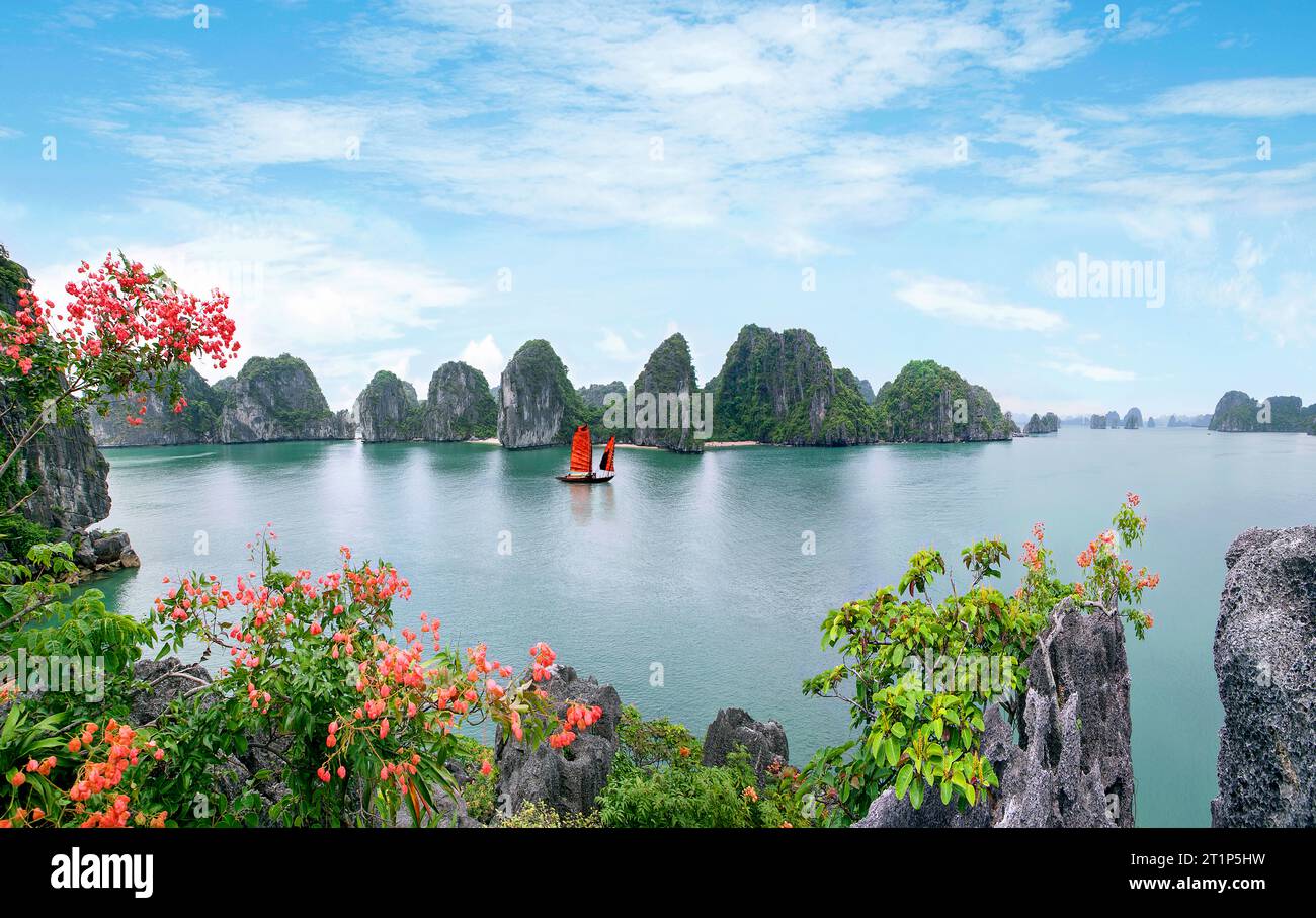 Phong Cảnh Hạ Long - Việt Nam Foto Stock