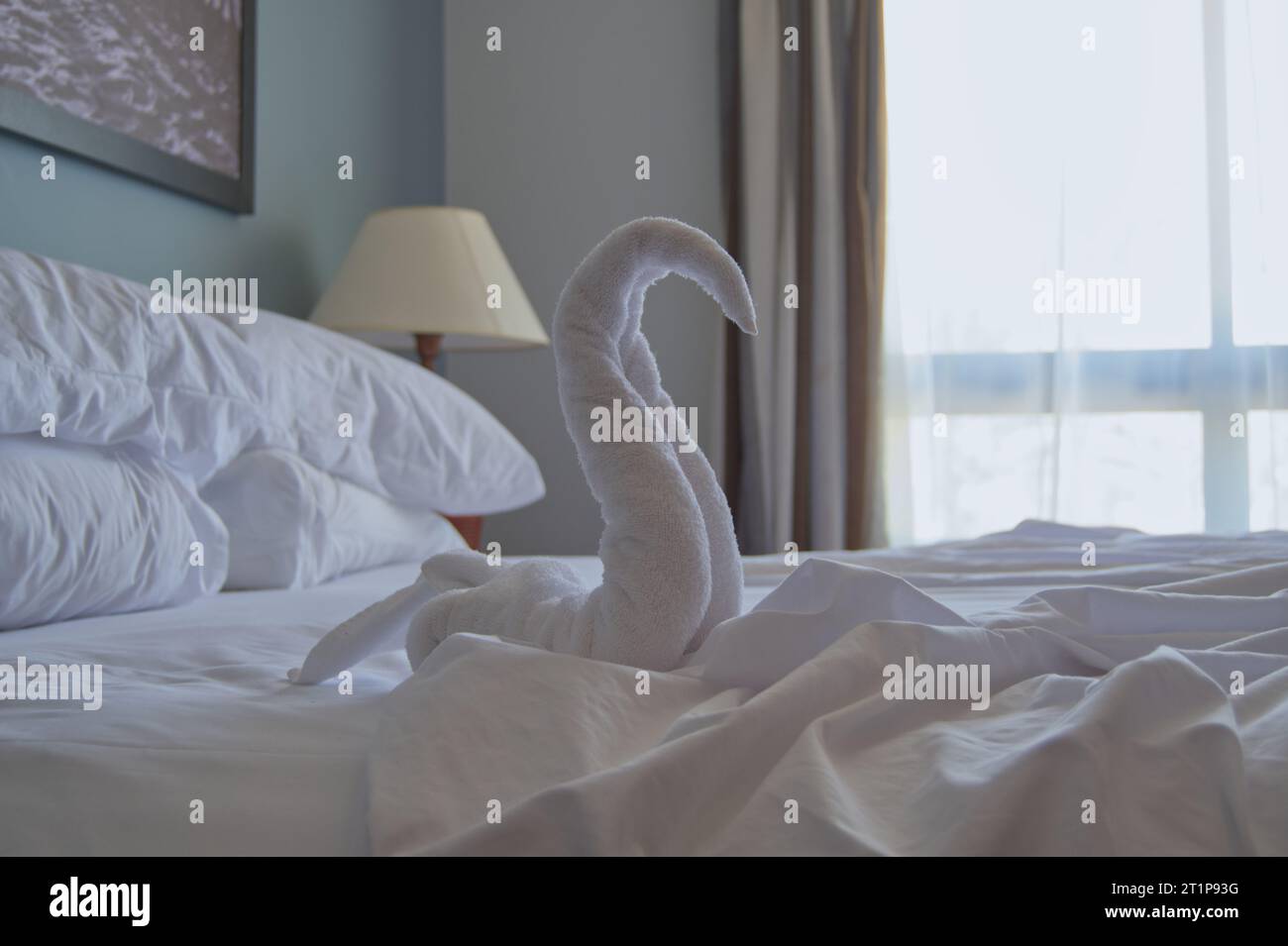 Cigno asciugamano nella camera d'albergo Foto Stock